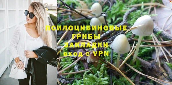 сатива Беломорск