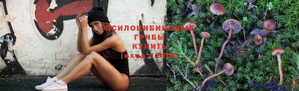 марки lsd Белоозёрский