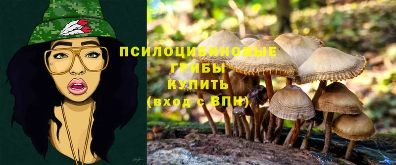 Псилоцибиновые грибы Cubensis  купить   Ворсма 